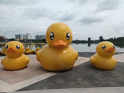 มาจับเป็ดที่อุดรฯกันครับ